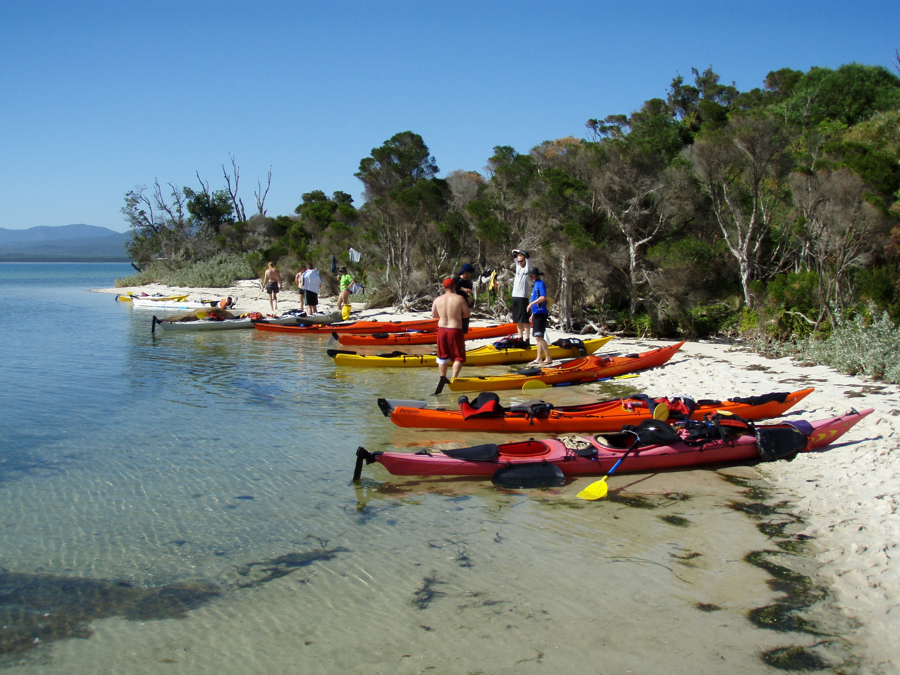 Sea Kayak Australia Melbourne Now